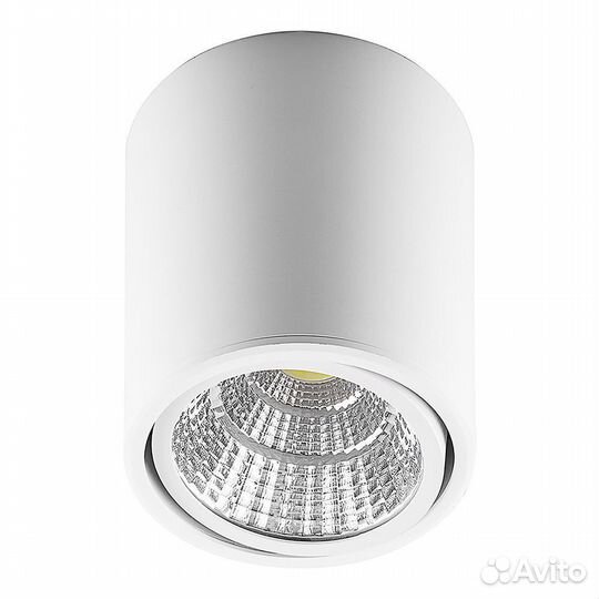 Светильник накладной потолочный спот AL516 10W