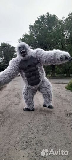 Поздравление в Кургане. Орангутанг на праздник