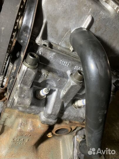 Двигатель ока 11113