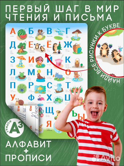 Плакат алфавит и пропись, два в одном