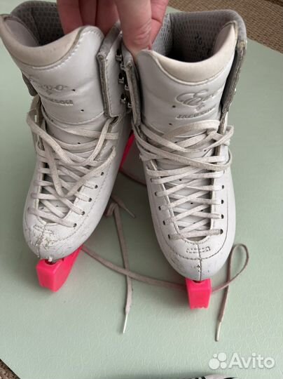 Фигурные коньки jackson Evo