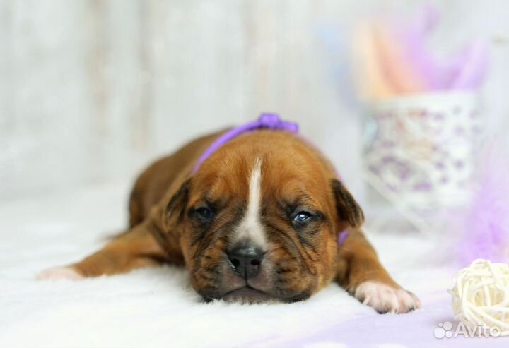 Мальчик-красавчик