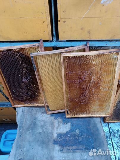 Рамки для ульев, сушь