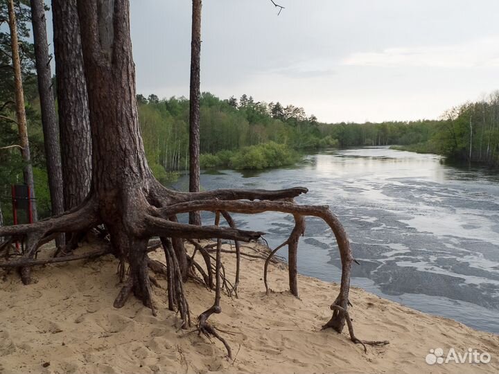 Праздник на конях и с зубрамт