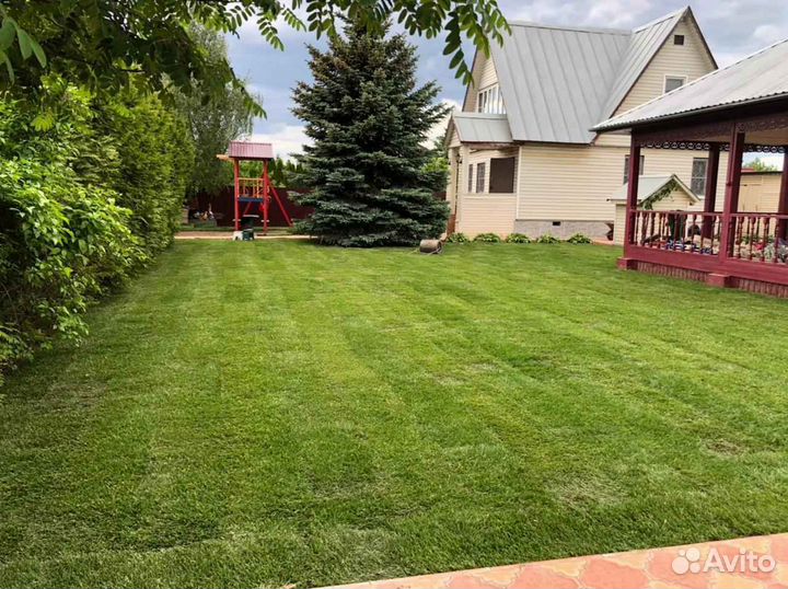 Продажа рулонного газона под ключ