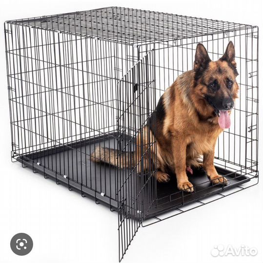 Клетка номер 6, самая большая