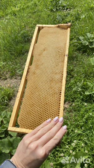 Сушь магазинная