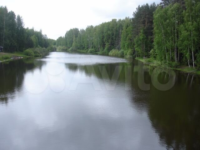 Дом 60 м² на участке 20 сот.