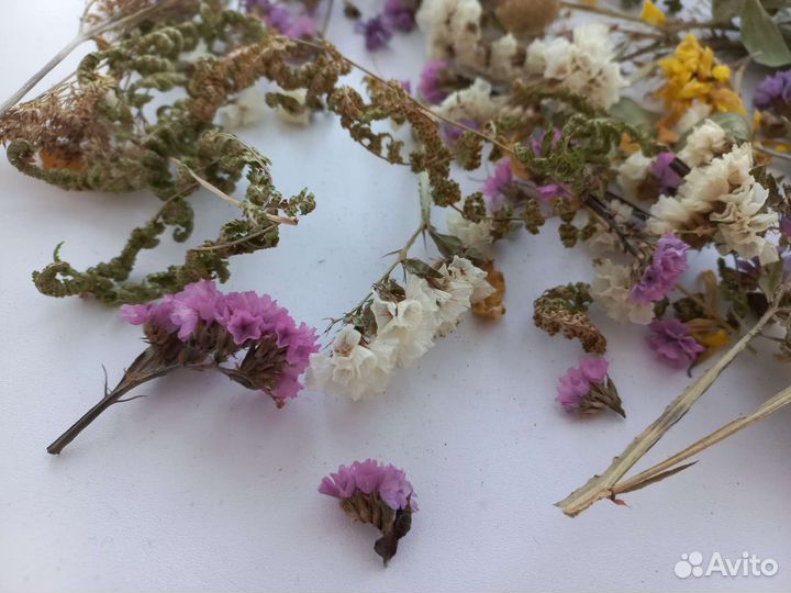 Сухоцветы цветы для рукоделия украшений