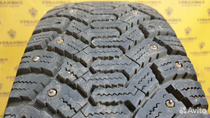 Cordiant Polar 195/65 R15 91