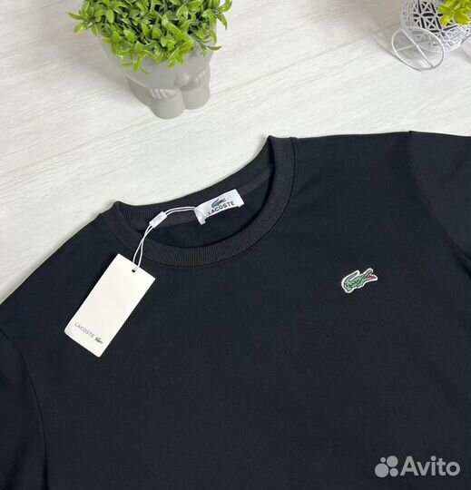 Свитшот lacoste