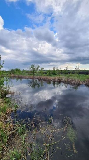 Дача 40 м² на участке 6 сот.