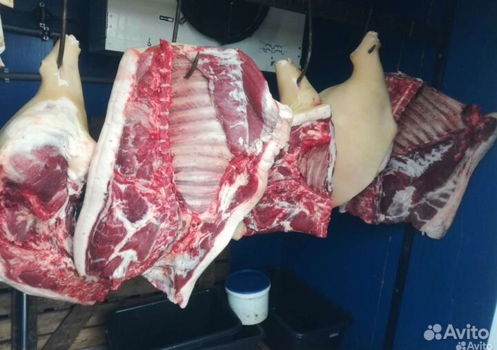 Мясо свинина домашняя