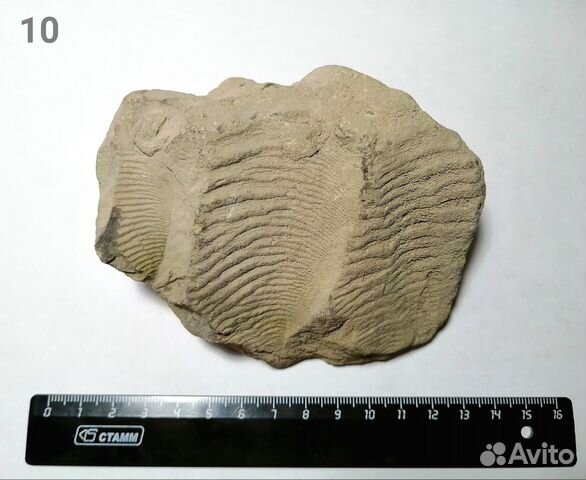 Горные породы и минералы геология