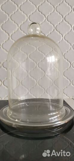 Стеклянный колпак клош