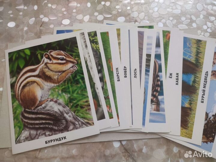 Обучающие карточки для малышей