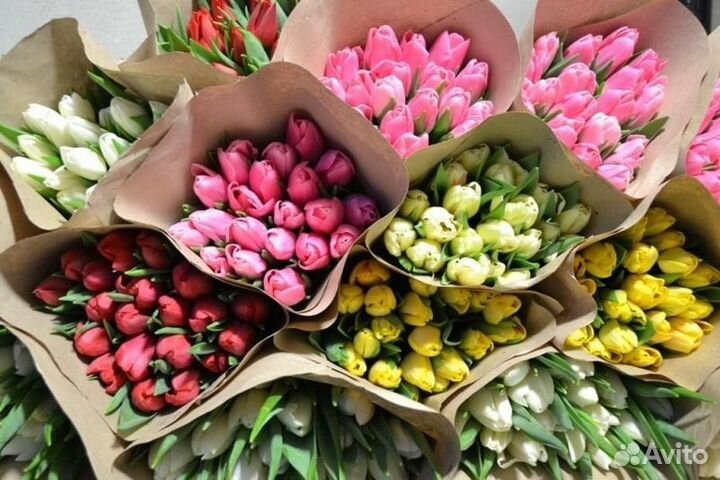 Тюльпаны оптом