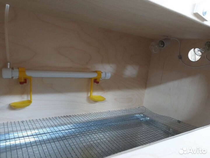 Брудер для цыплят