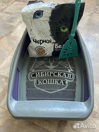 Набор для домашнего питомца