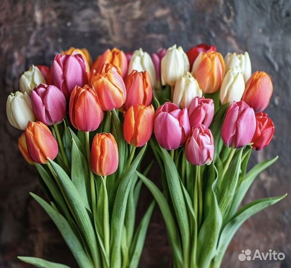 Тюльпаны к 8 марта букеты
