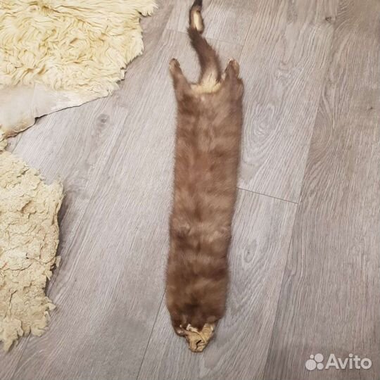 2 шкурки норочек - животик и спинка