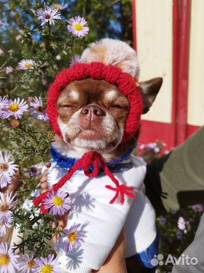 Шапочка и снуд