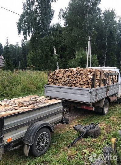 Дрова дубовые