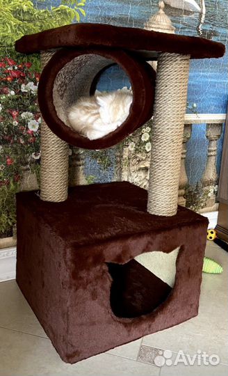 Домик когтеточка