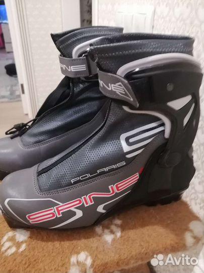 Лыжные ботинки Spine polaris