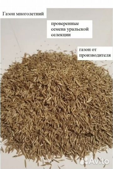 Семена газонной травы