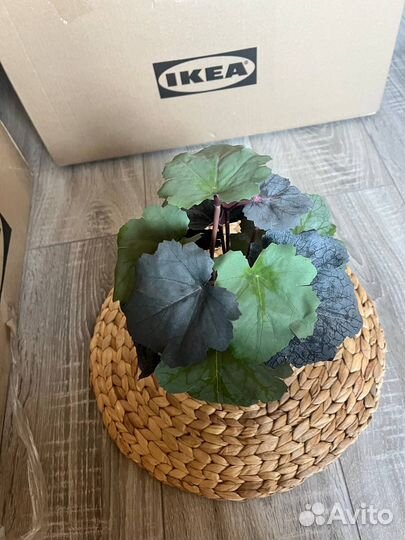 Искусственное растение, Пятнистая герань, IKEA