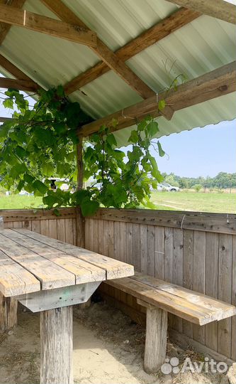 Место для рыбалки и отдыха на природе