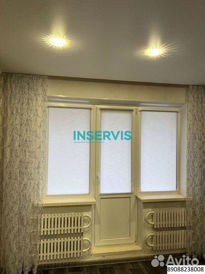 Зебра день ночь