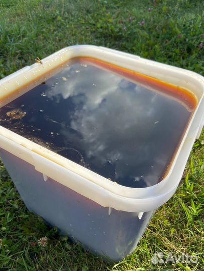 Мед оптом с Алтая / Экспорт в Китай и снг