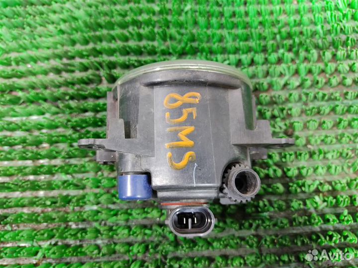 Птф передняя правая Ford Focus 3 (CB8) 2013