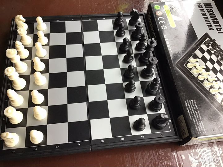 Шахматы на могните