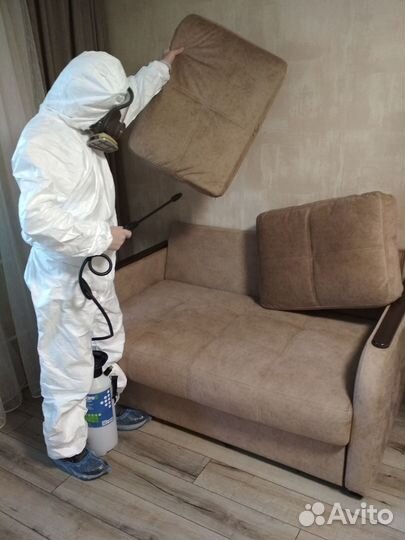 Дезинфекция в Туапсе: тараканы, клопы, мыши