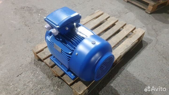 Двигатель 30 кВт на 1000 об новый А лапы