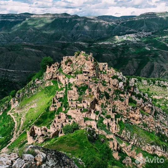 Гуниб Тур Водитель