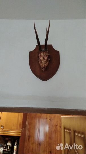 Рога косули,ручная работа
