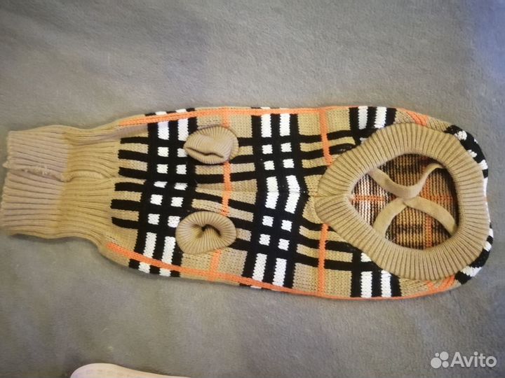 Одежда для животных