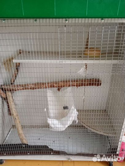 Клетка для грызунов