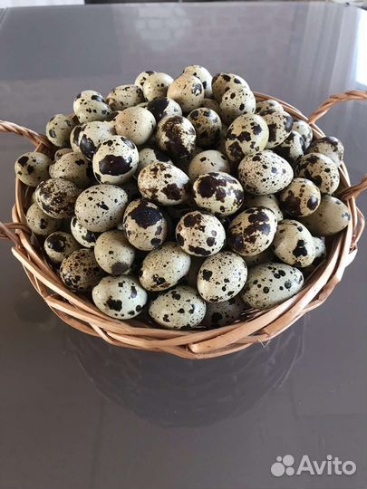 Мясо перепелов