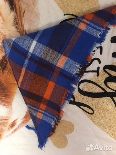 Палантин кашемировый теплый Новый