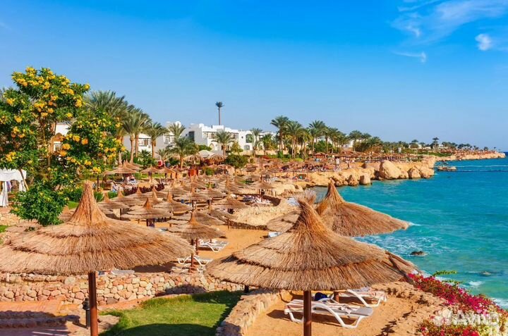 Турпутевка Шарм-эш-Шейх на 6 нч все вкл