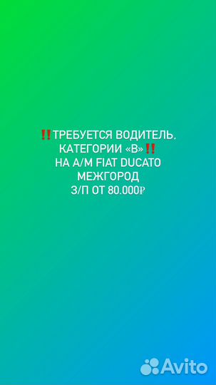 Водитель-экспедитор категории B