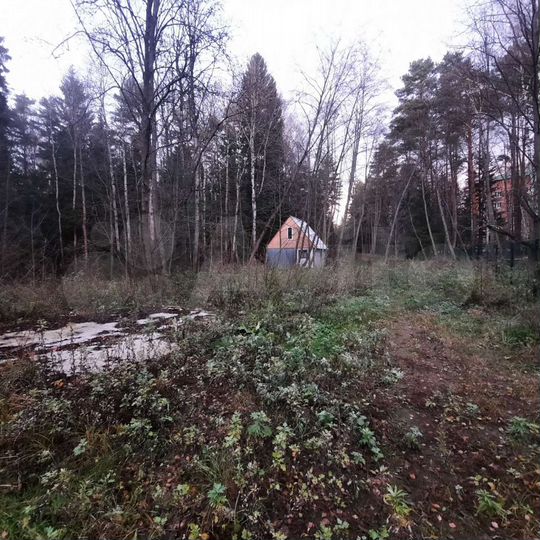 Участок 60 сот. (СНТ, ДНП)