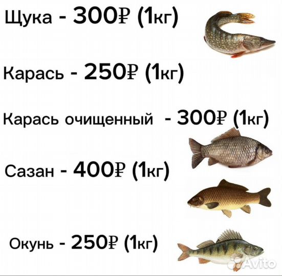 Свежая рыба