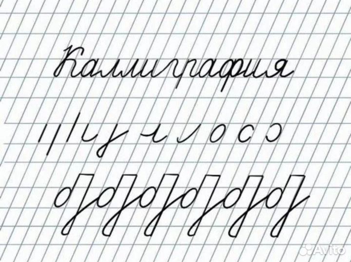 Репетитор начальных классов и английского языка