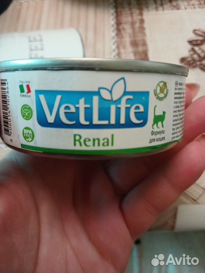 Влажный корм для кошек